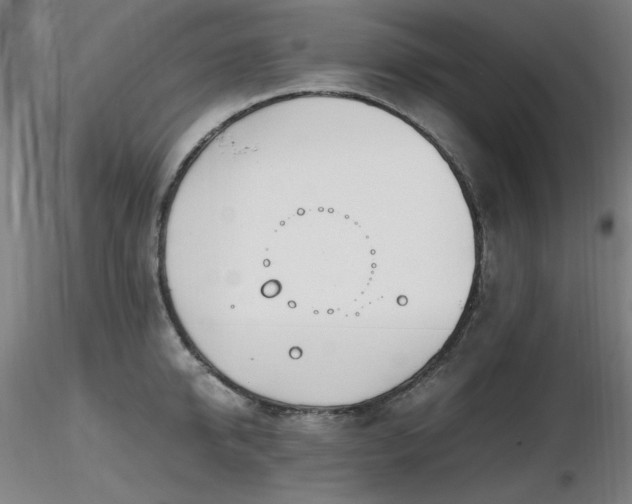 X0000116820950200912181405