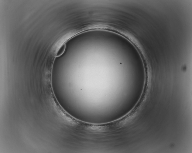 X0000116820953200912181405