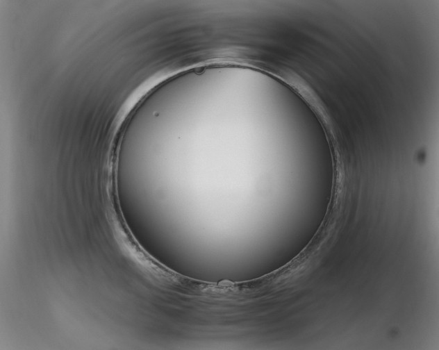 X0000116820955200912181405