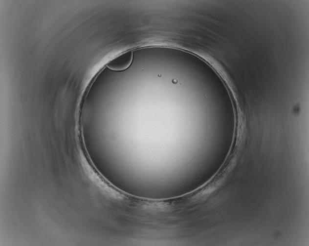 X0000116820957200912181405
