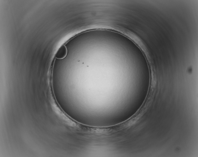 X0000116820958200912181405