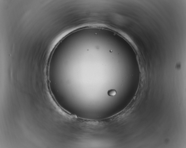 X0000116820959200912181405