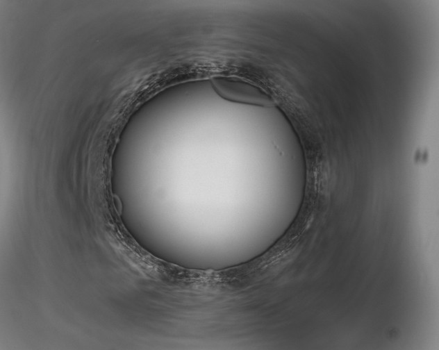 X0000116820961200912181404