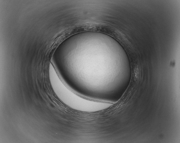 X0000116820964200912181404