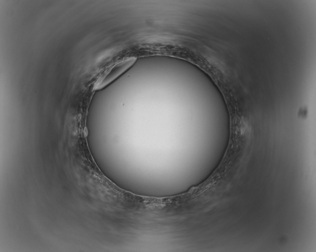 X0000116820965200912181404