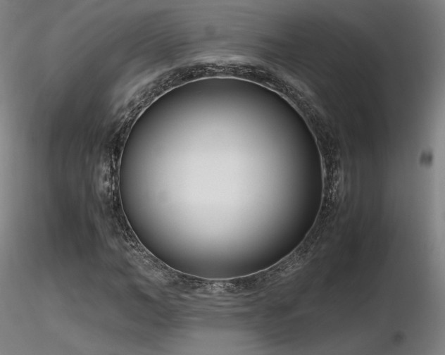 X0000116820966200912181404