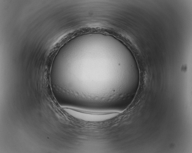 X0000116820968200912181404