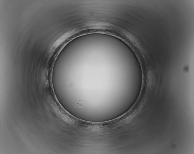 X0000116820970200912181404