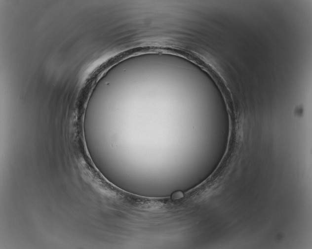 X0000116820971200912181404