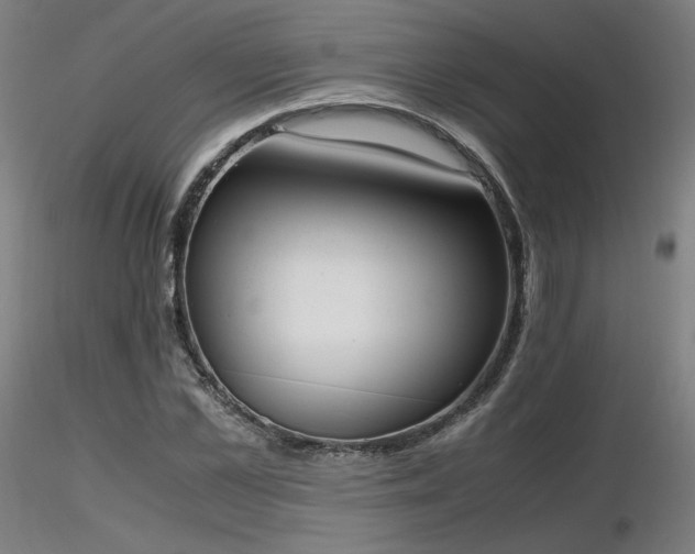 X0000116820973200912181404