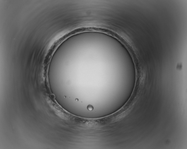 X0000116820974200912181404