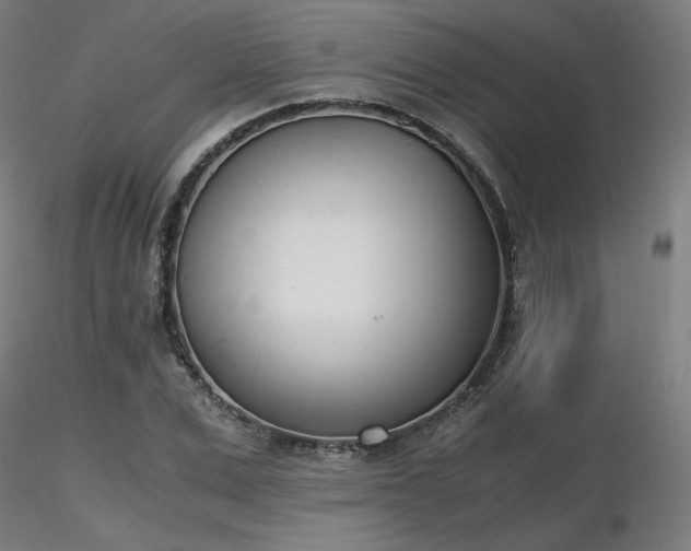 X0000116820975200912181404