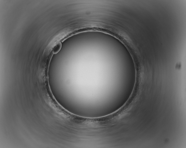 X0000116820977200912181404