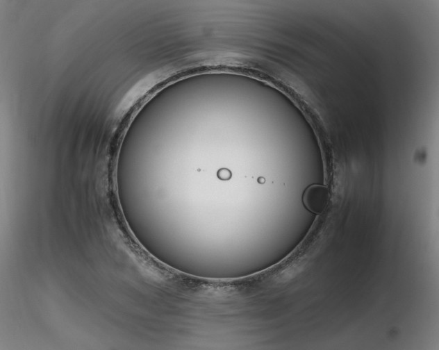 X0000116820978200912181404