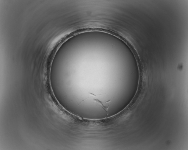 X0000116820979200912181404