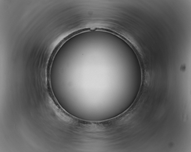 X0000116820980200912181404