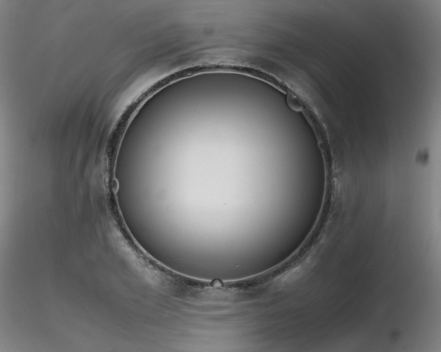 X0000116820981200912181404