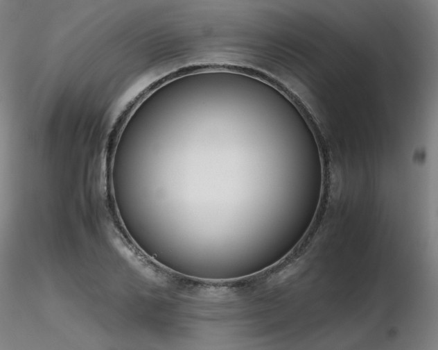 X0000116820982200912181404