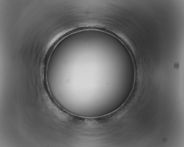 X0000116820983200912181404