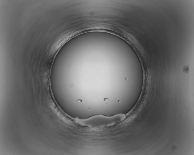 X0000116820985200912181404