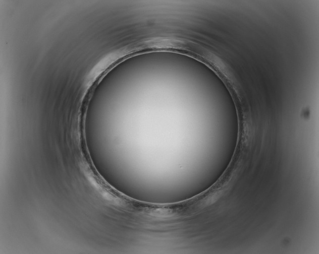 X0000116820986200912181404