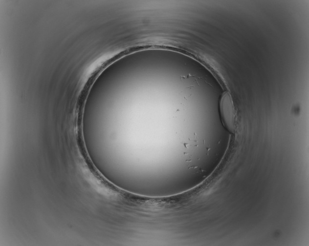 X0000116820987200912181404