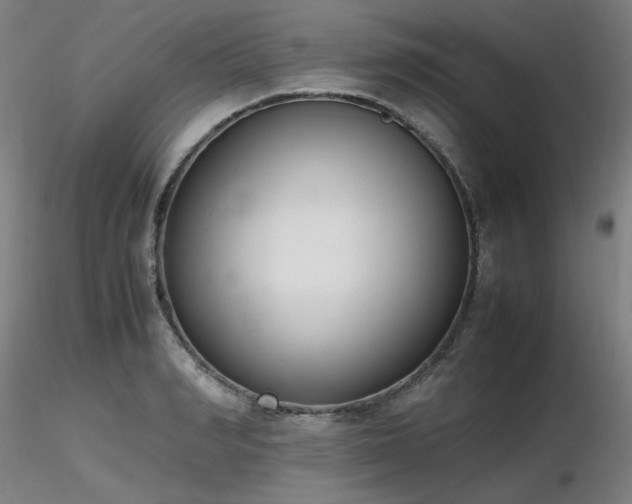 X0000116820990200912181404