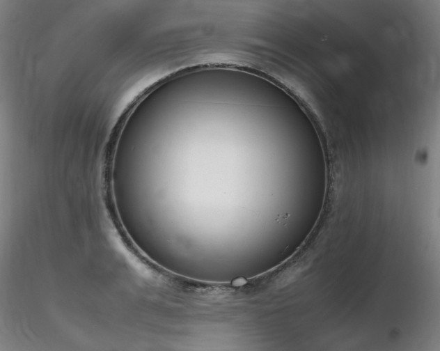 X0000116820991200912181404
