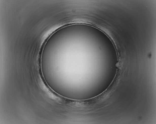 X0000116820995200912181404