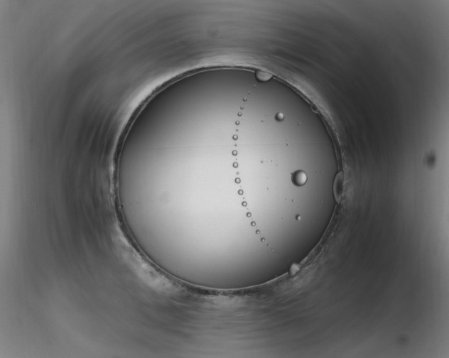 X0000116820996200912181404