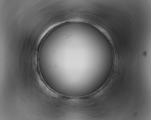 X0000116821000200912181404