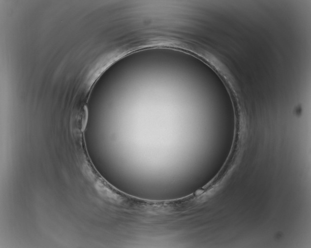 X0000116821001200912181404