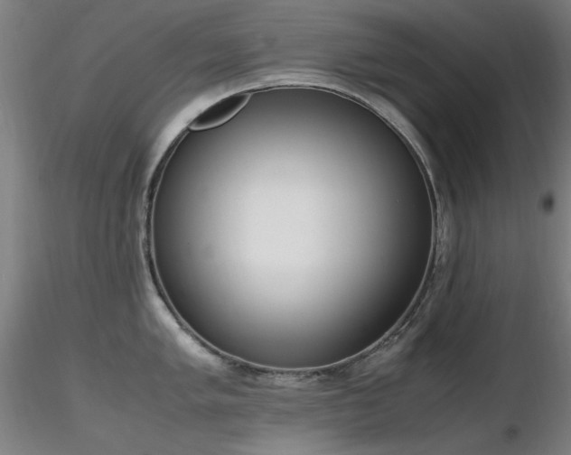 X0000116821005200912181404