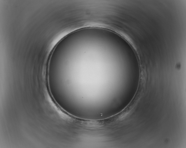 X0000116821007200912181404