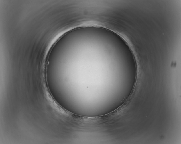 X0000116821008200912181404