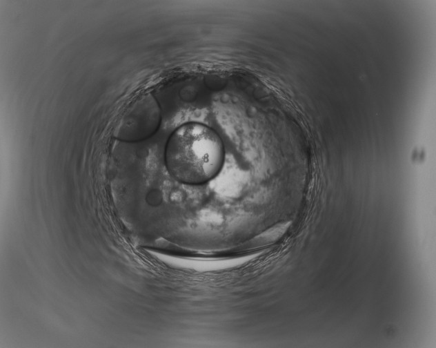 X0000116821009200912181403