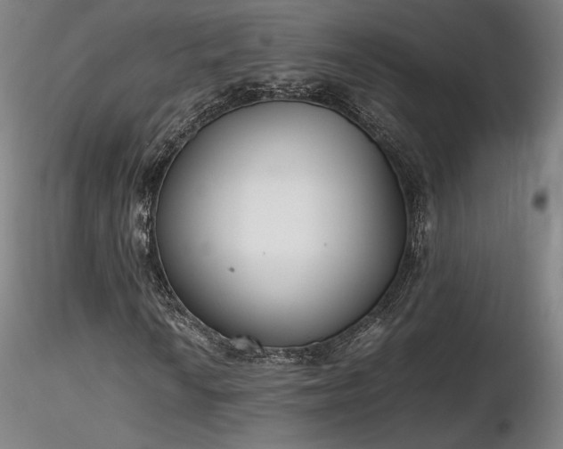 X0000116821010200912181403