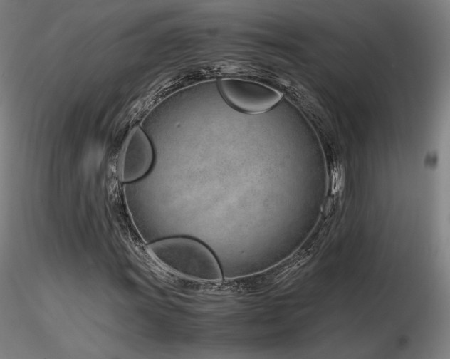 X0000116821011200912181403