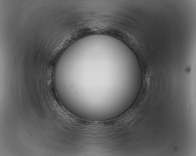 X0000116821012200912181403