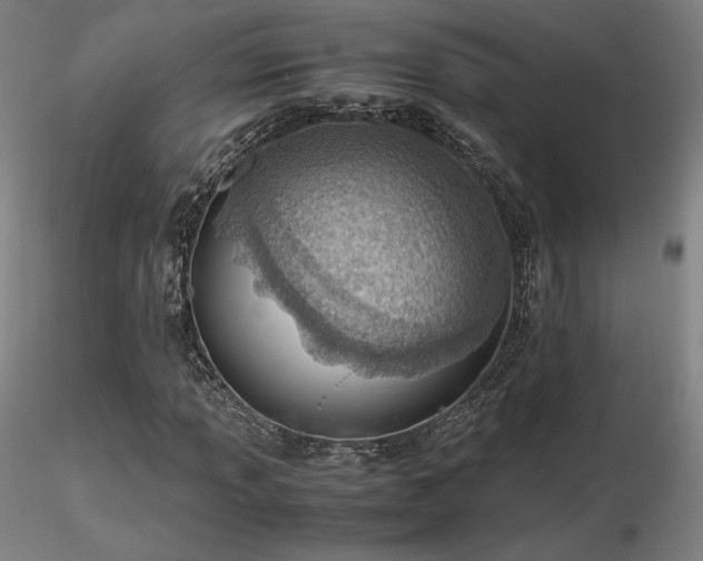 X0000116821013200912181403