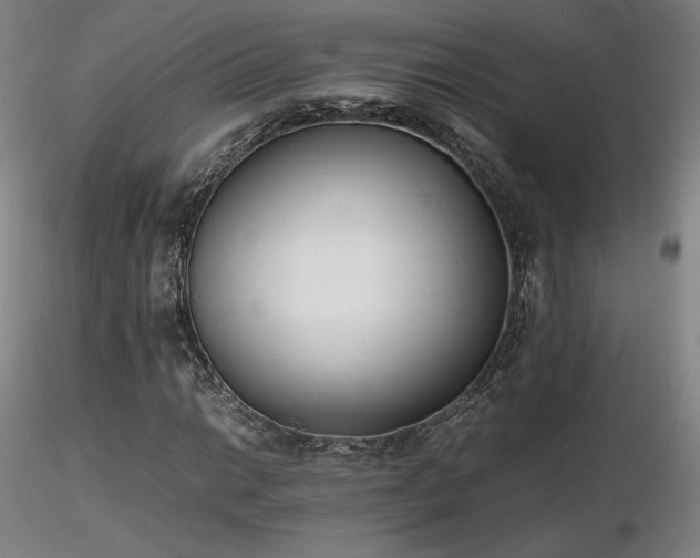 X0000116821014200912181403