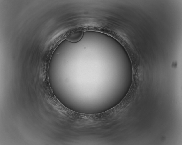 X0000116821015200912181403