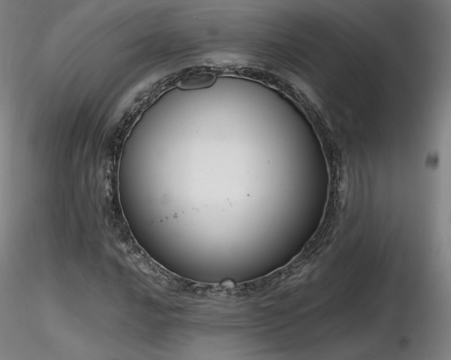 X0000116821016200912181403