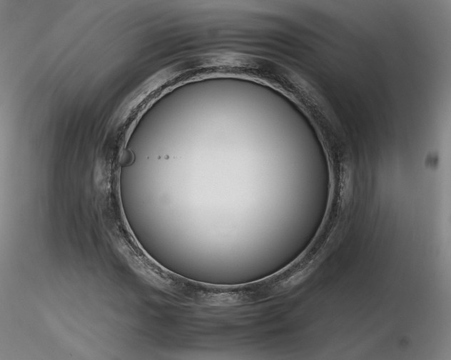 X0000116821017200912181403