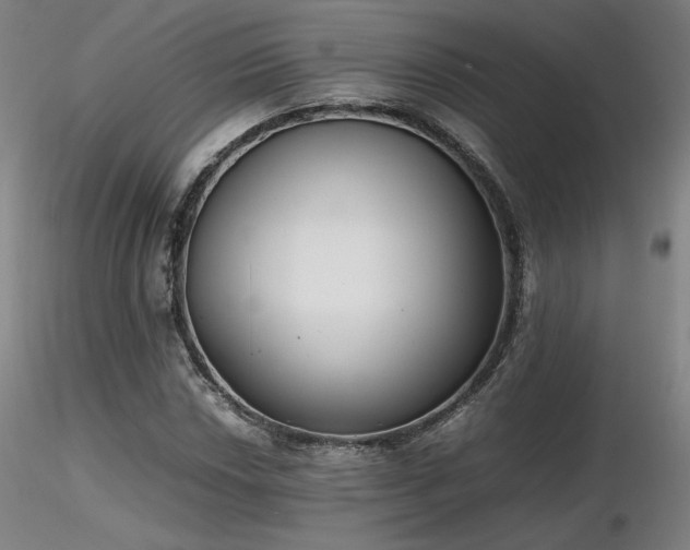 X0000116821018200912181403