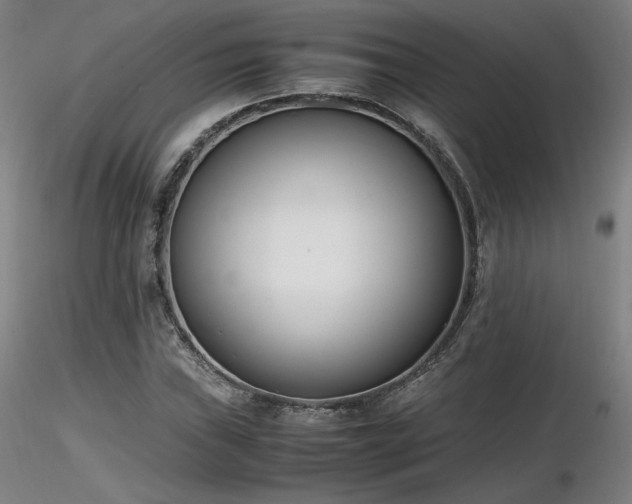 X0000116821019200912181403