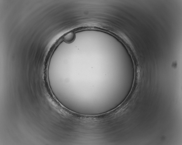 X0000116821020200912181403