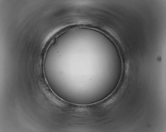 X0000116821021200912181403