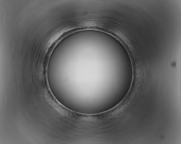 X0000116821023200912181403