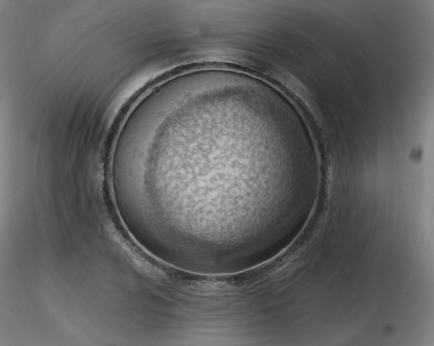 X0000116821024200912181403